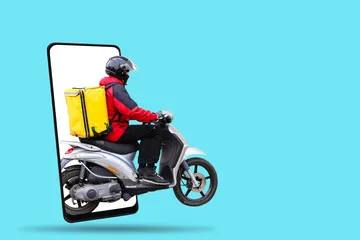 Delivery support